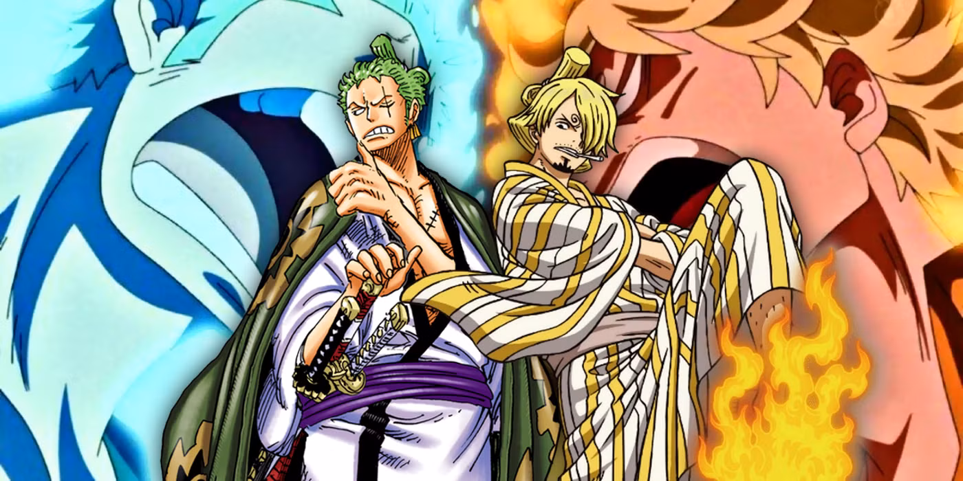 Zoro vs Sanji
